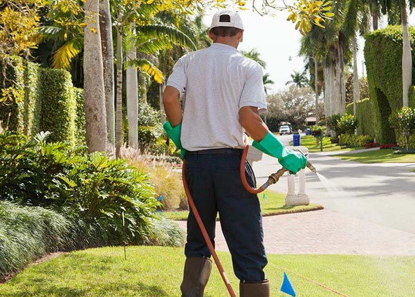 About Mount Arlington NJ Pest Control Pros
